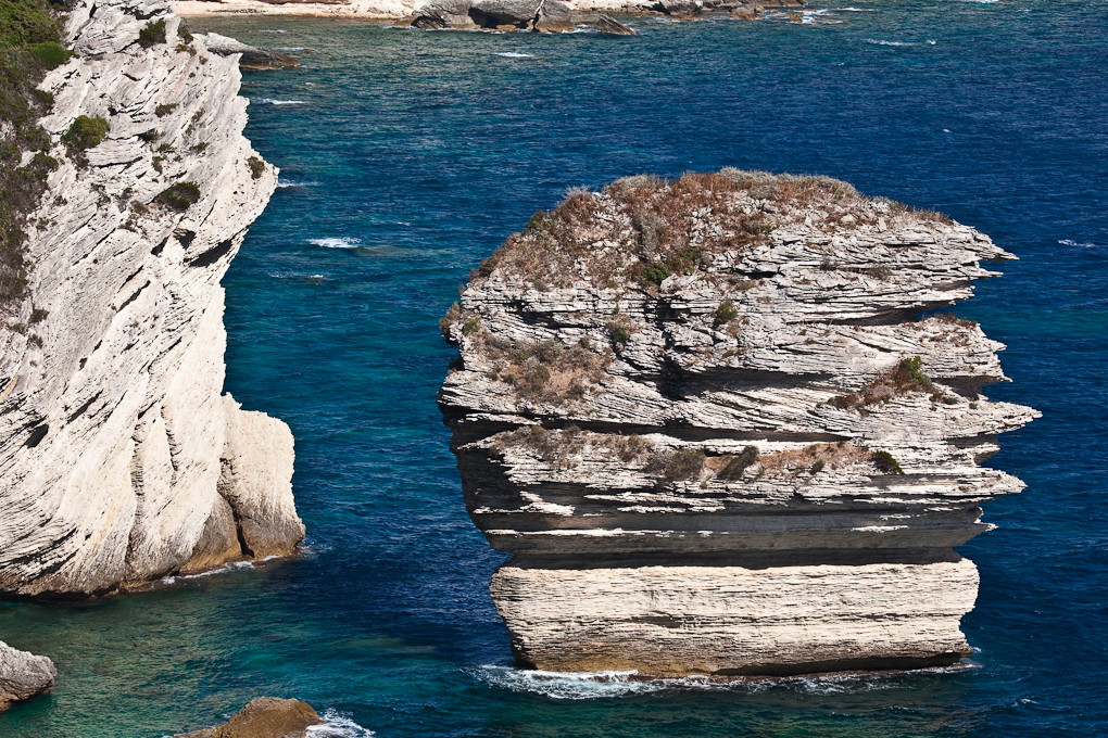 Bonifacio